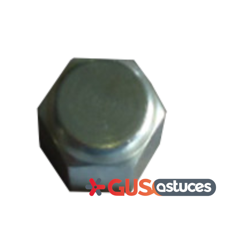 Capuchon de valve 1753314 Daikin